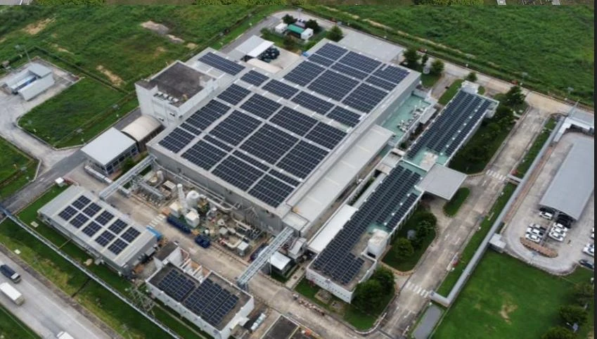 BASF Detection System